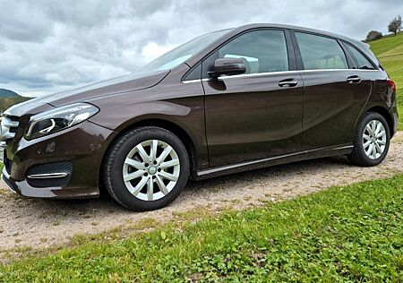 Mercedes-Benz B 200 Style braun