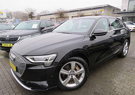 Audi e-tron 55 quattro *PANO *LEDER *AHK *20"ALU