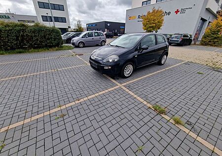 Fiat Punto gebraucht kaufen Fiat Punto 1.2 8V POP,Navi,klima,Tüv 10/26 Kein Rost!