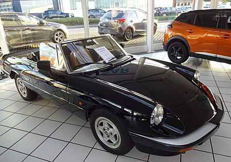 Alfa Romeo Spider 2.0 - im Kundenauftrag