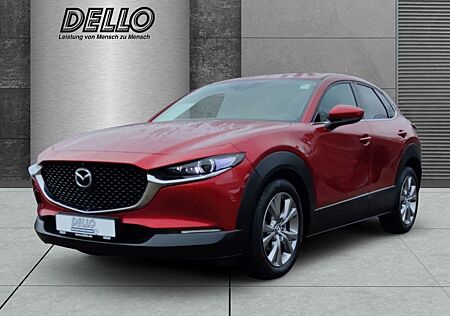 Mazda CX-30 Selection Leder Bose HUD Navi PDC Apple An