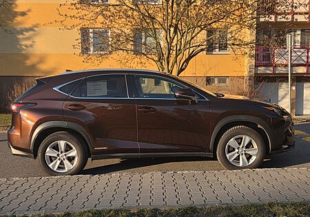 Lexus NX 300h NX 300 300h E-FOUR -