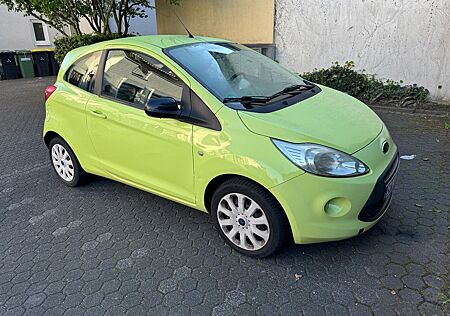 Ford Ka 1.2 Titanium | Top gepflegt | TÜV neu |