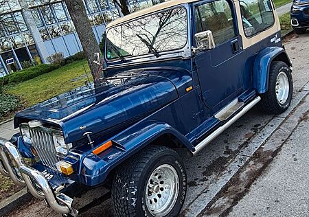 Jeep Wrangler YJ -Blue Star- TOP Zustand Hardtop 2.5