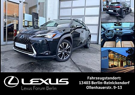 Lexus UX 250h Luxury Line * 360 Kamera * Mark Levinso