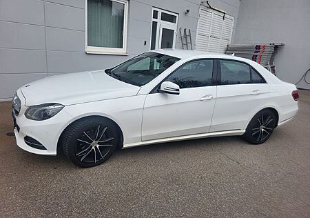 Mercedes-Benz E 220 BlueTEC BE Edition AVANTG. Autom. Edit...