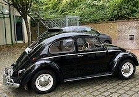 VW Käfer Volkswagen - Ovali