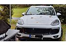 Porsche Cayenne S, ATM 19.500 km, Luftf, BurmesterSoundS