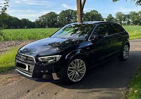 Audi A3 2.0 TDI S line, Standheizung, TÜV Neu VB