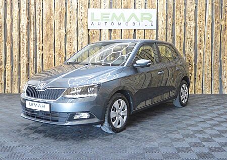 Skoda Fabia /GreenTec/SHZ/StartStop/ComfortPaket