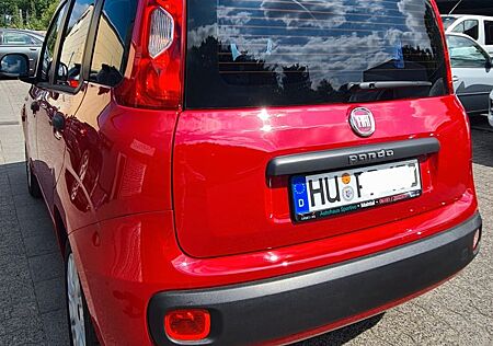 Fiat Panda 1,2 KLIMA/Tüv neu/