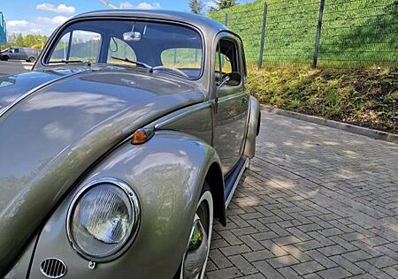 VW Käfer Volkswagen 1959. top