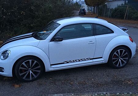 VW Beetle Volkswagen Sport - DSG//8-fach bereift//SHZ//TÜV neu