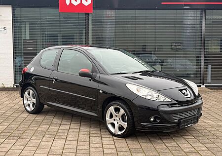Peugeot 206 + RFK-Allwetter-