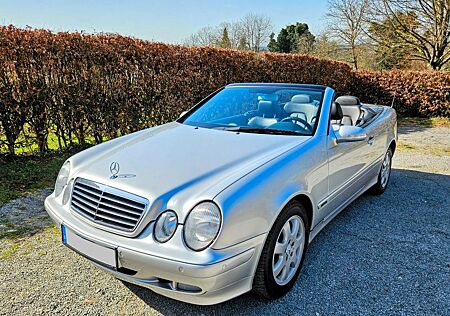 Mercedes-Benz CLK 200 CLK 200K AVANTGARDE Evo Cabrio 93tkm PDC TÜV NEU