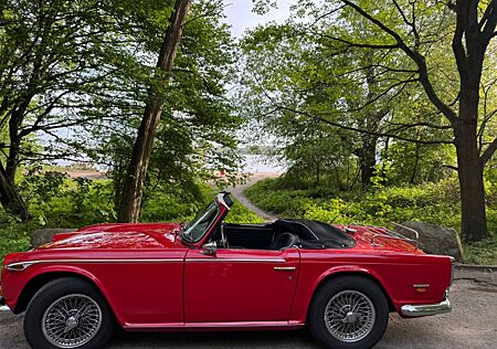 Triumph TR250
