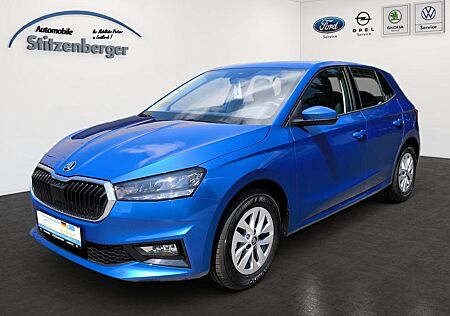 Skoda Fabia Selection 1.0 TSI *Tempomat*SHZ*RFK*LED*