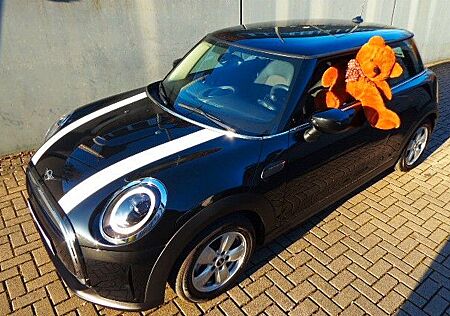Mini Cooper Essential Trim 1.Hand Automatik