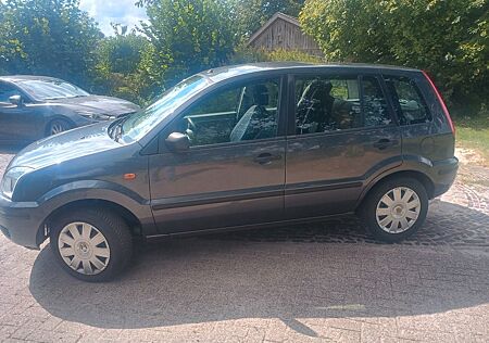 Ford Fusion 1.4 2. te Hand