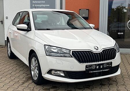 Skoda Fabia 1.0 TSI Style SHZ Multi.lenkr. PDC 8-fach