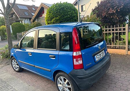 Fiat Panda 1.2 Benziner