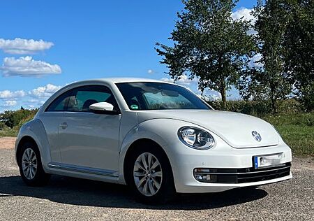 VW Beetle Volkswagen 1.2 TSI mit Standheizung und Checkheft