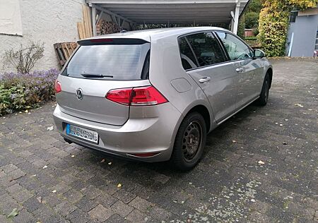 VW Golf Volkswagen VII, 2.0 BlueTDI 4MOTION