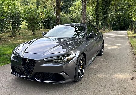 Alfa Romeo Giulia gebraucht kaufen Alfa Romeo Giulia 2.9 V6 Bi-Turbo 375 kW AT8 Quadrifogl...