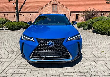 Lexus UX 250h Executive Line