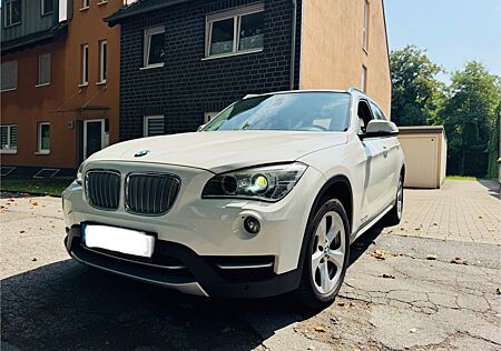 BMW X1 Baureihe 20 d sDrive Efficient Dynamics