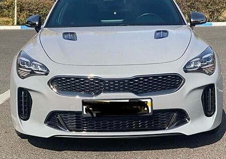 Kia Stinger 2,5 T-GDI AWD GT Lein