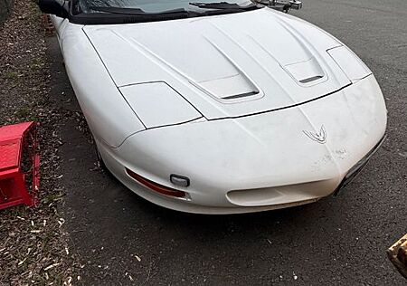 Pontiac Firebird Auto, Starke Gebrauchsspuren, kein Tüv