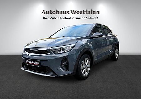 Kia Stonic gebraucht kaufen Kia Stonic Edition 7 Automatik/Navi/Sitzhzg/1.Hd