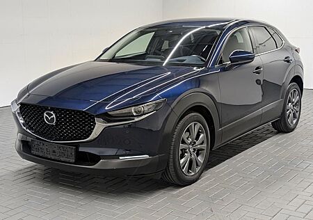 Mazda CX-3 CX-30 Selection LED/AHK/HUD/360°Kam/el.Heck/ACC