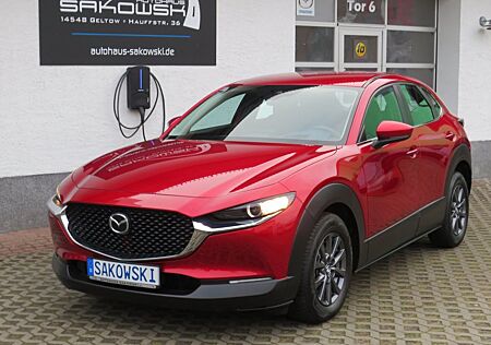 Mazda CX-30 AUT. NAVI LED KLIMA CARPLAY ANDROID AUTO P