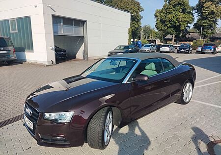 Audi A5 2.0 TFSI multitronic Cabriolet -