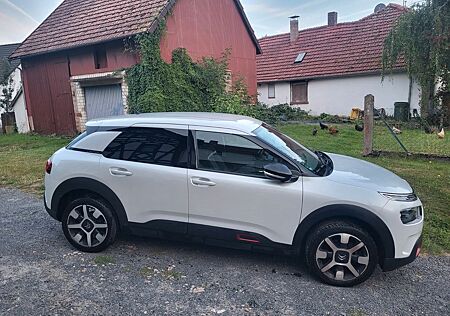 Citroën C4 Cactus BlueHDi 100 S&S Shine Shine