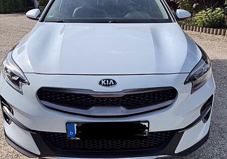 Kia XCeed 1.6 CRDi 48V Vision Vision