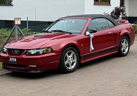 Ford Mustang Cabrio V6