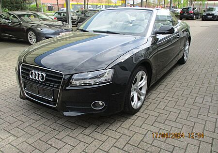 Audi A5 2.0 TFSI Cabriolet / Leder / AUT