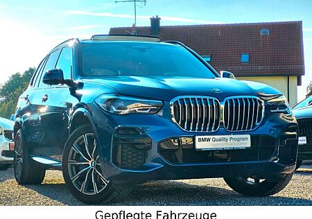 BMW X5 xDrive30d M-Sport AHK 360° Panorama DrivingAs