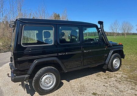 Mercedes-Benz G 300 gebraucht kaufen Mercedes-Benz G 300 Professional