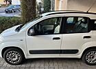 Fiat New Panda 1.2 8V EASY EASY TüV NEU