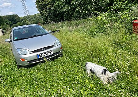 Ford Focus 1.6 Futura Futura