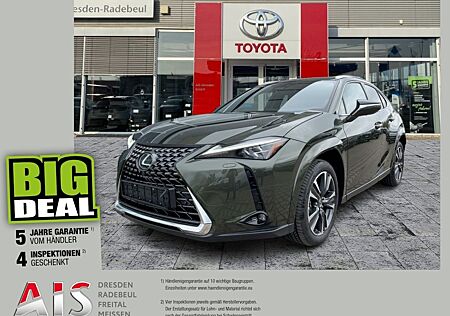 Lexus UX 300h Luxury Line HUD*Navi*MarkLevinson