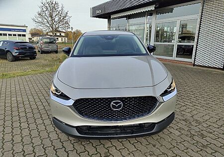 Mazda CX-30 2.5L e-SKYACTIV G 140ps Homura