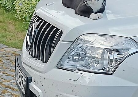 Mercedes-Benz GLK 250 CDI 4MATIC BlueEFFICIENCY -