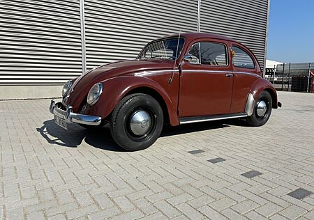 VW Käfer Volkswagen 1200 Export - TÜV- H- Kennzeichen- 1958-