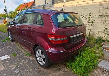 Mercedes-Benz B 200 CDI Special Edition Special Edition