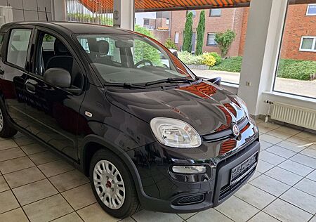 Fiat Panda Hybrid 1.0 GSE 51KW , PDC ,Radio DAB